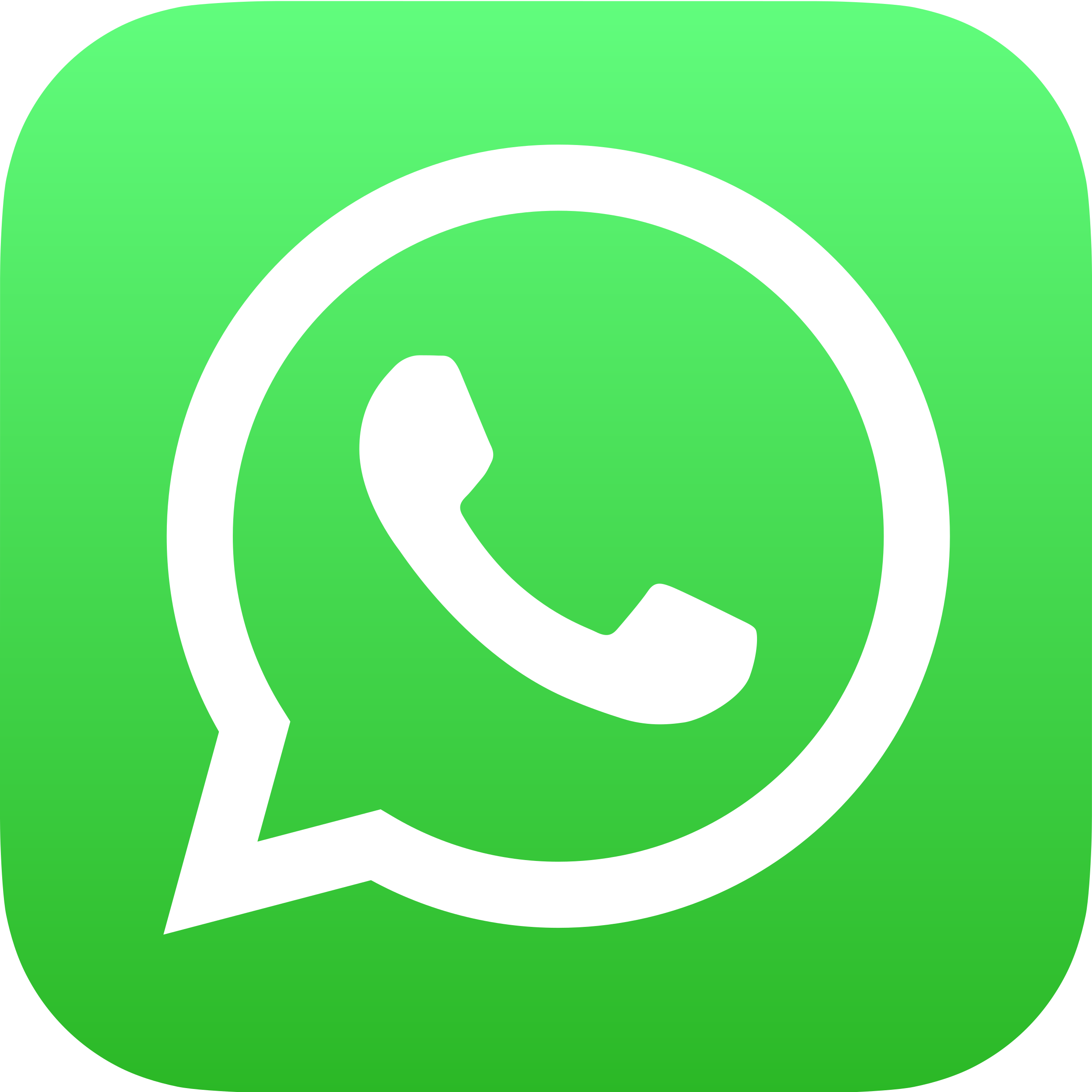 WhatsApp Icon